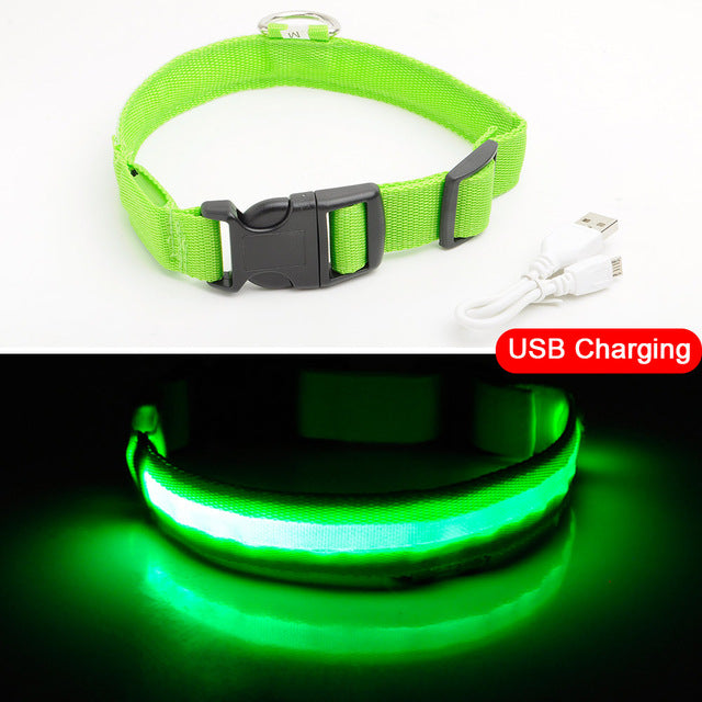 Pawppy LED Dog Collar USB charging Pet Dog Cat Mypawppy Pawppy green