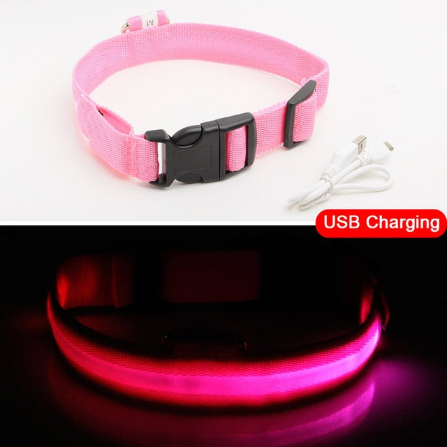 Pawppy LED Dog Collar USB charging Pet Dog Cat Mypawppy Pawppy pink