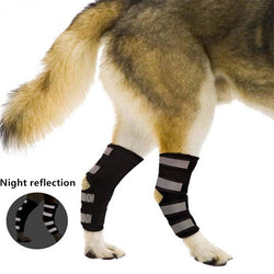 Pain Reduction Dog Leg Brace