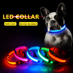 Pawppy LED Dog Collar Pet Dog Cat Mypawppy Pawppy