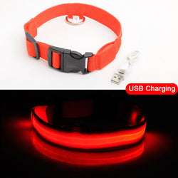 Pawppy LED Dog Collar USB charging Pet Dog Cat Mypawppy Pawppy Red