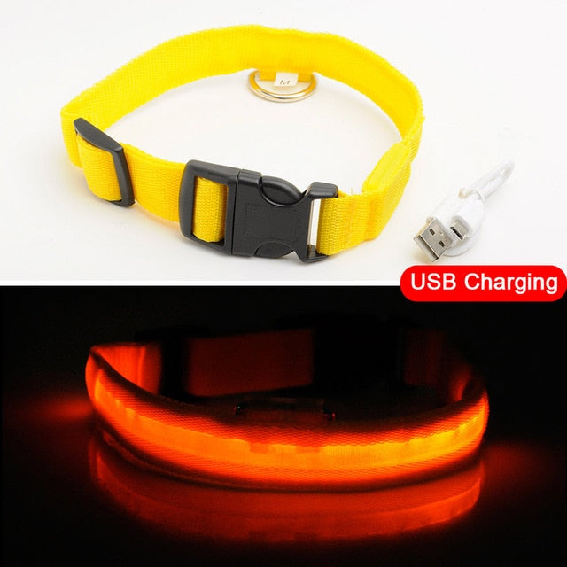 Pawppy LED Dog Collar USB charging Pet Dog Cat Mypawppy Pawppy yellow